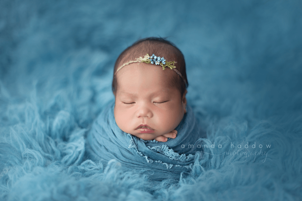 Newborn workshop vancouver amanda haddow photography