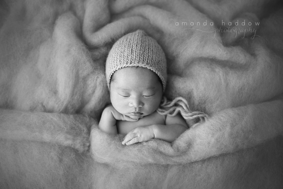 Newborn workshop vancouver amanda haddow photography 7