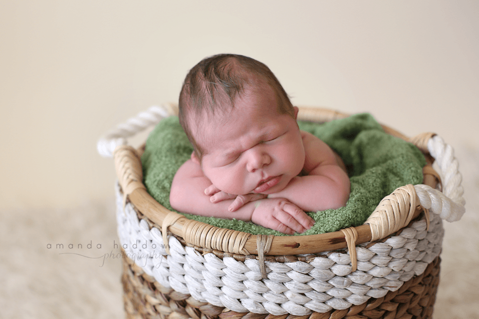 newborn pictures victoria - baby david basket