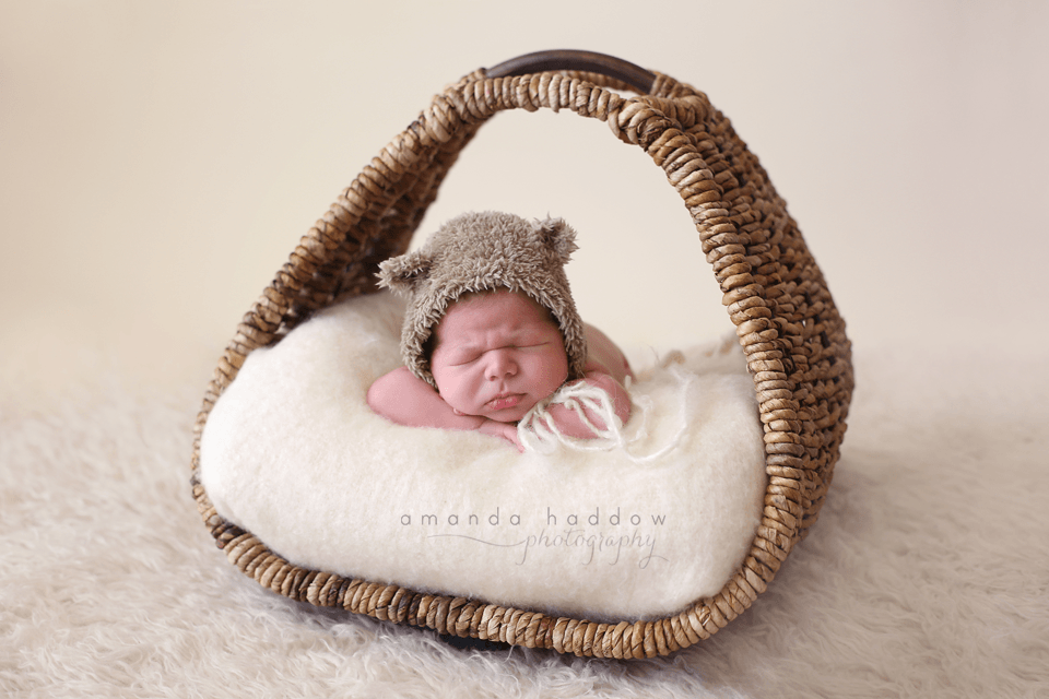 newborn pictures victoria - baby david basket2