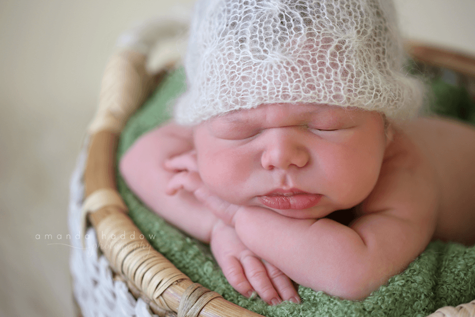 newborn pictures victoria - baby david basket3