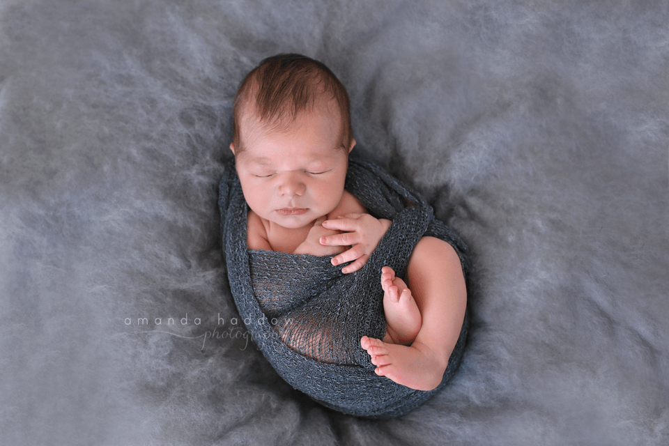 newborn pictures victoria - baby david wrap